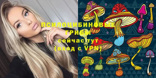 прущие крисы Переславль-Залесский