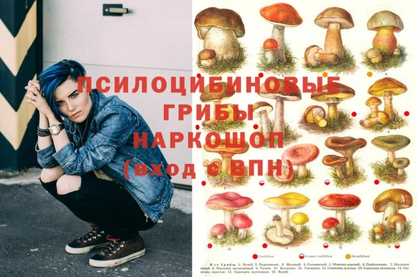 mdpv Пересвет