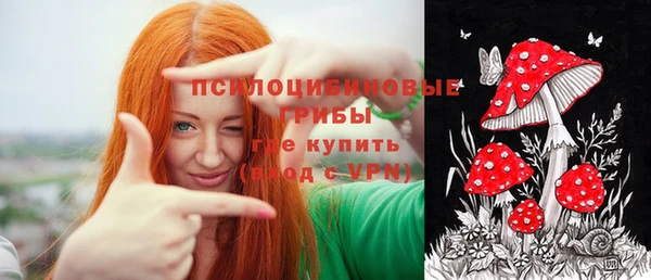 прущие крисы Переславль-Залесский